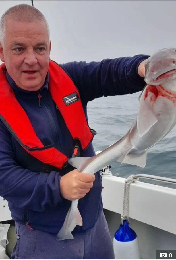 Yanlışlıkla teknesine çekti köpekbalığı saldırısına uğradı!